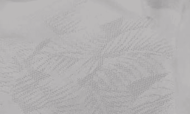 Close-up of Leaf Jacquard fabric texture